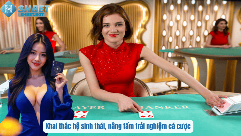 Khai thác hệ sinh thái, nâng tầm trải nghiệm cá cược